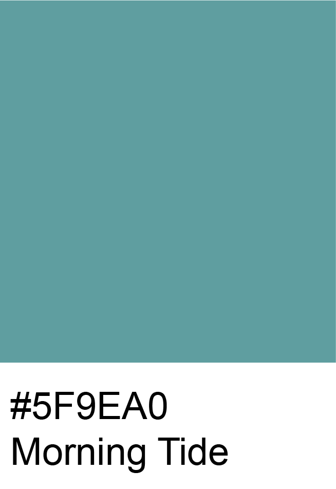 Morning Tide Color Hex Code #5F9EA0