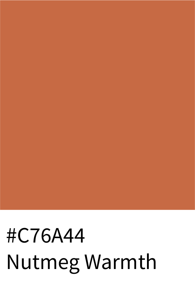 Nutmeg Warmth Color Hex Code #C76A44