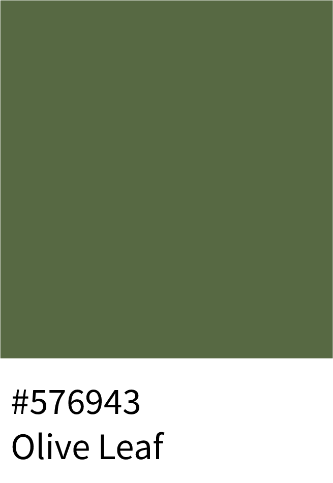 Olive Leaf Color Hex Code #576943