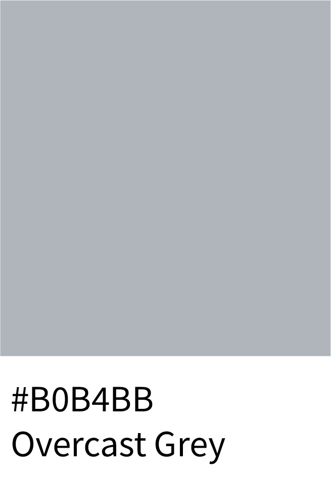 Overcast Grey Color Hex Code #B0B4BB