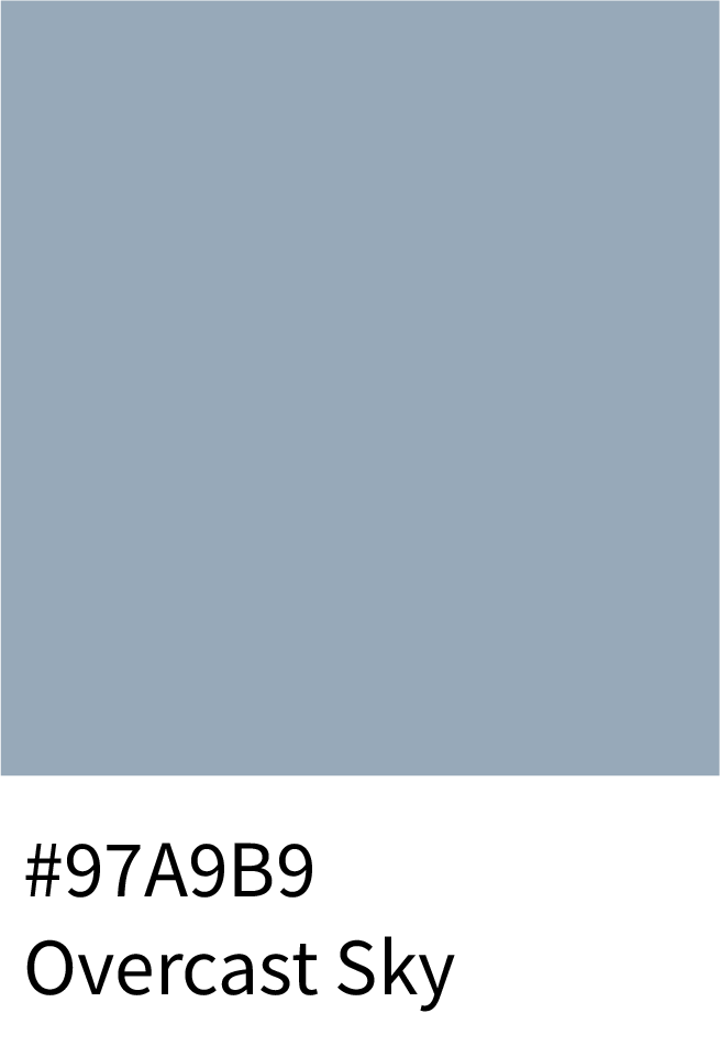 Overcast Sky Color Hex Code #97A9B9