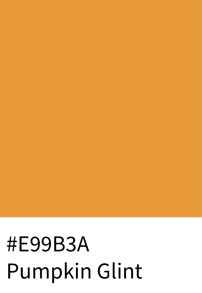 Pumpkin Glint Color Hex Code #E99B3A