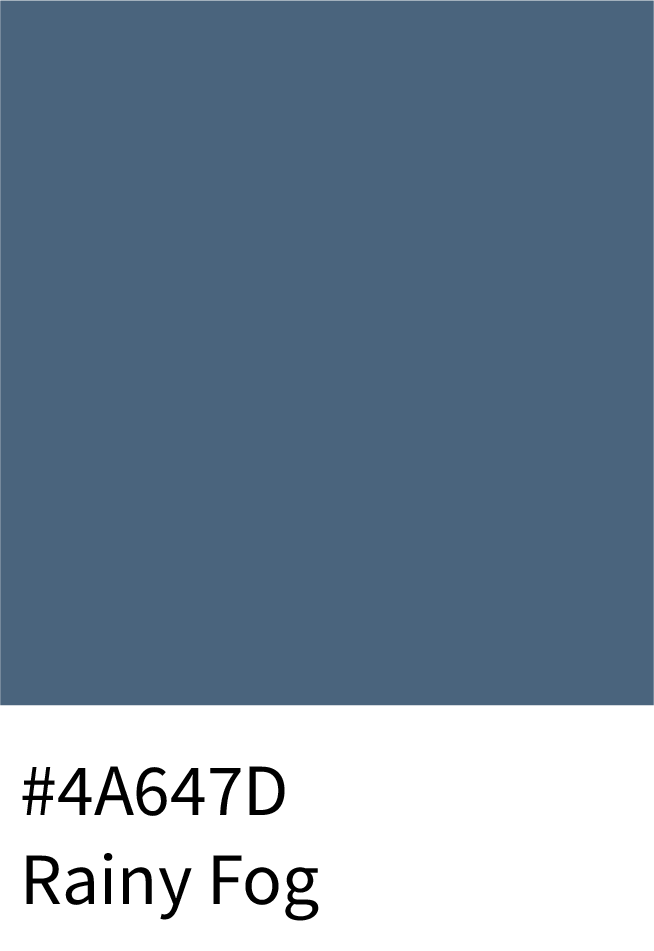 Rainy Fog Color Hex Code #4A647D
