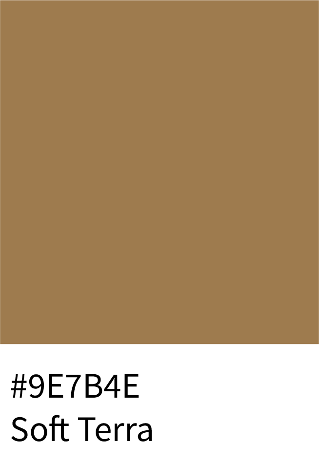 Soft Terra Color Hex Code #9E7B4E