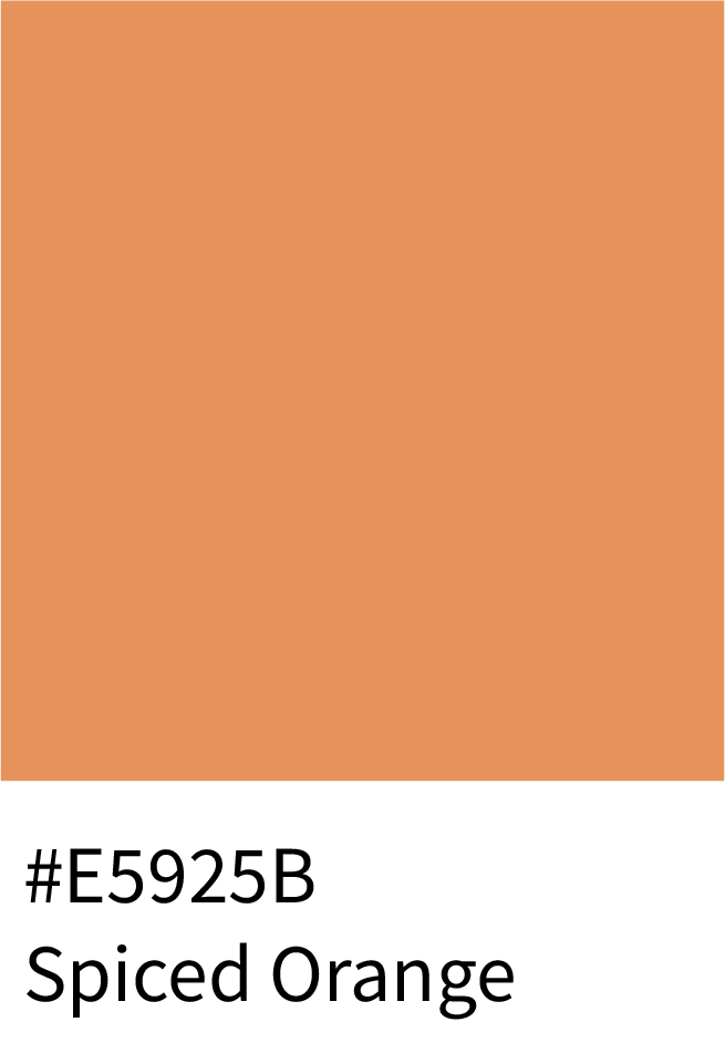 Spiced Orange Color Hex Code #E5925B