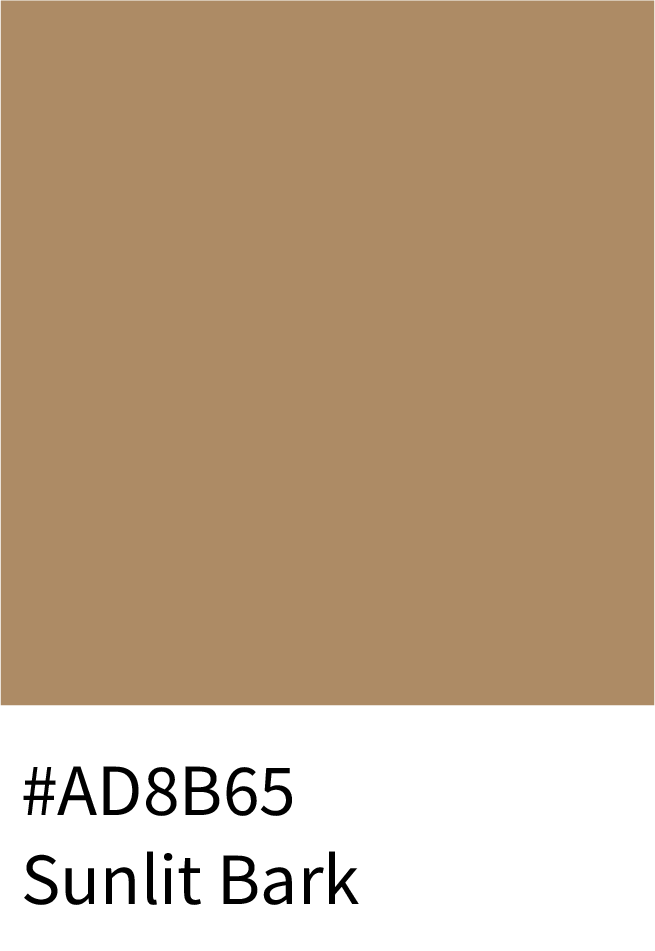 Sunlit Bark Color Hex Code #AD8B65