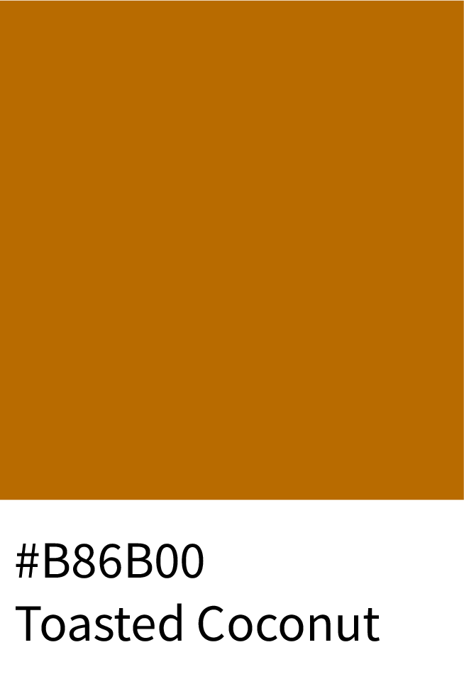Toasted Coconut Color Hex Code #B86B00