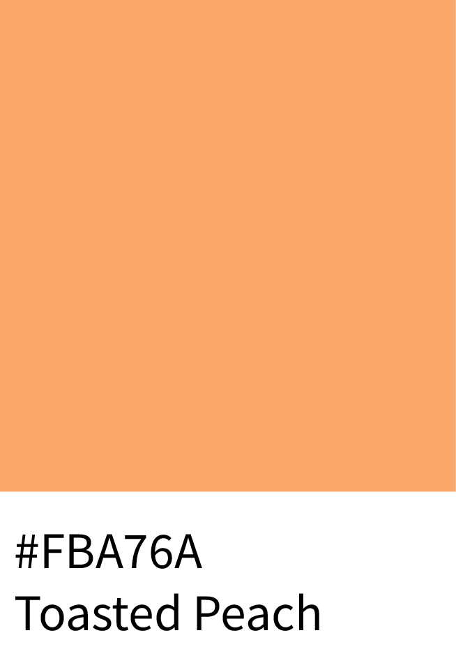 Toasted Peach Color Hex Code #FBA76A