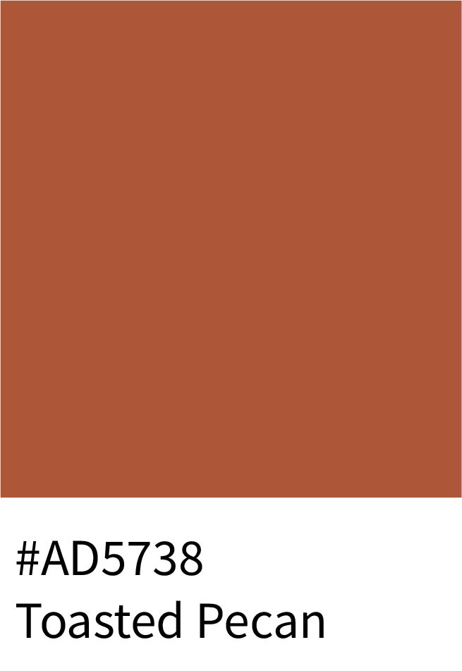 Toasted Pecan Color Hex Code #AD5738