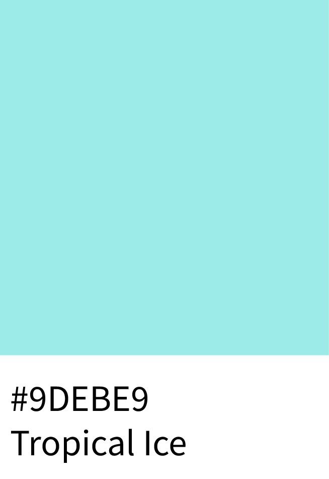 Tropical Ice Color Hex Code #9DEBE9