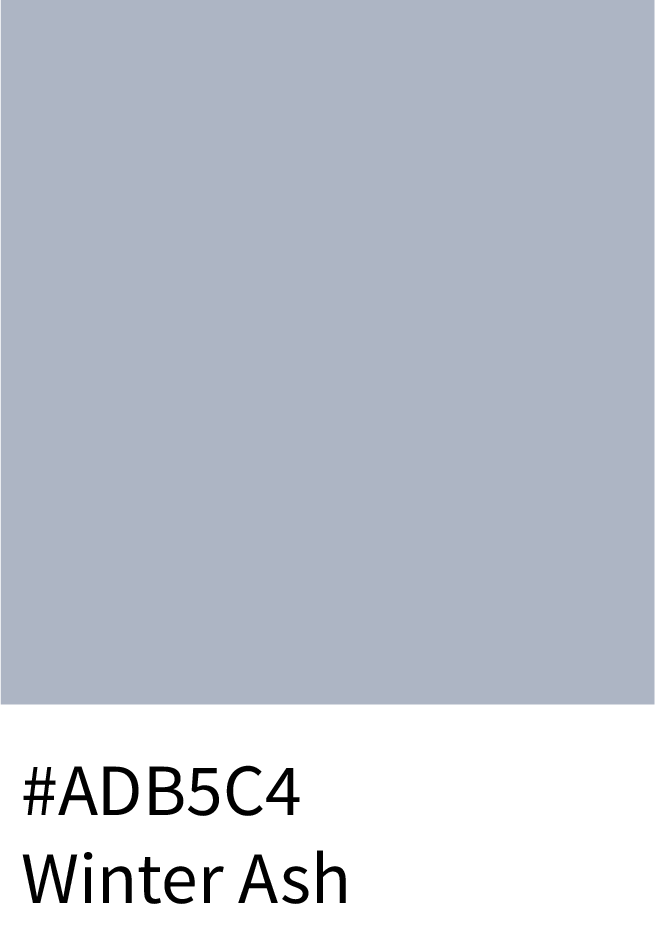 Winter Ash Color Hex Code #ADB5C4