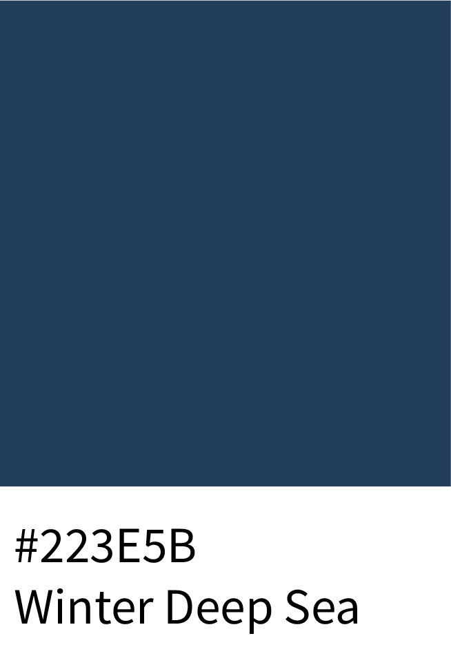 Winter Deep Sea Color Hex Code #223E5B