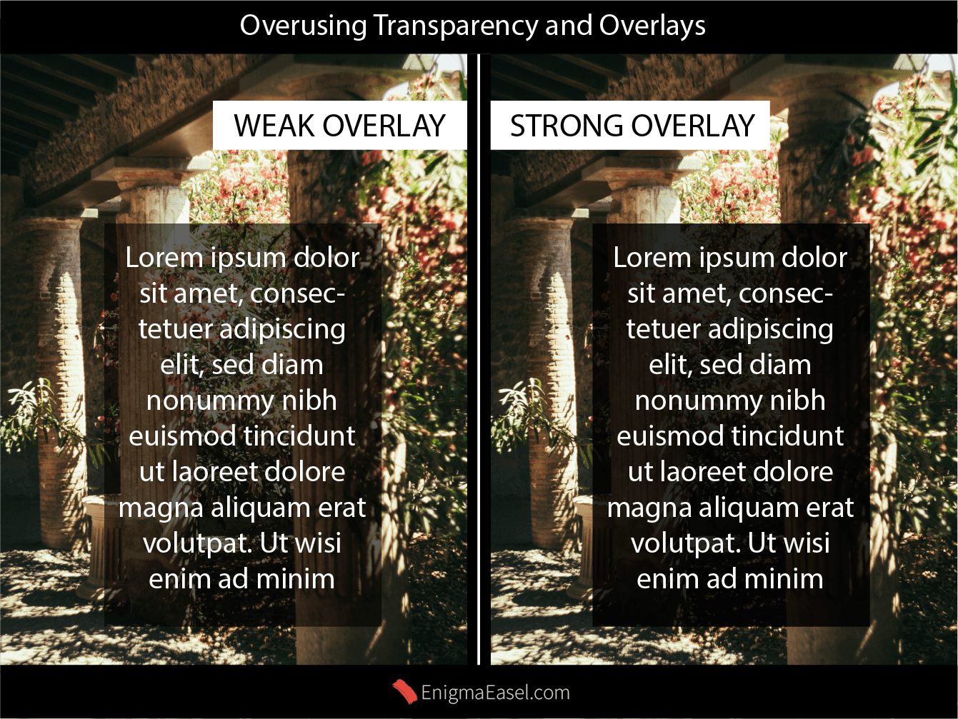 WCAG Image Transparency Overlay