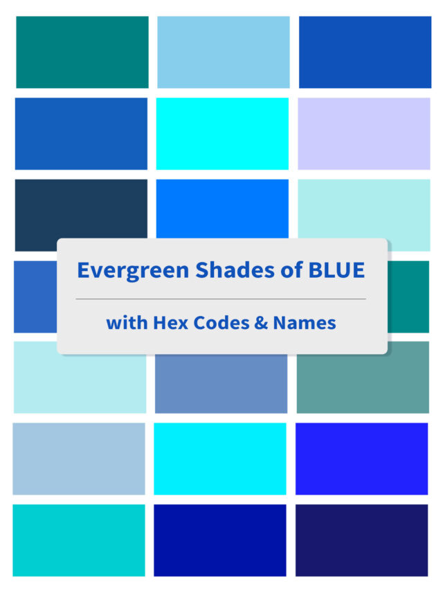 Evergreen Blue Shades Poster