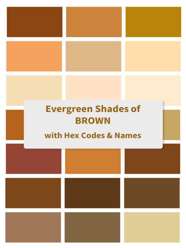 Evergreen Trending Brown Shades Poster