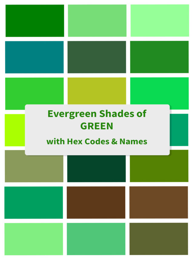 Trending Shades of Green Color Palettes