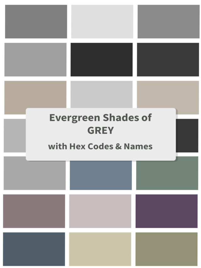Trending Shades of Grey Color Palettes