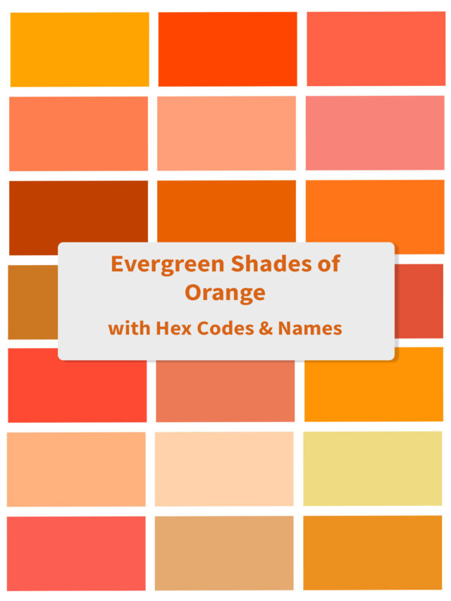 Trending Shades of Orange Colors