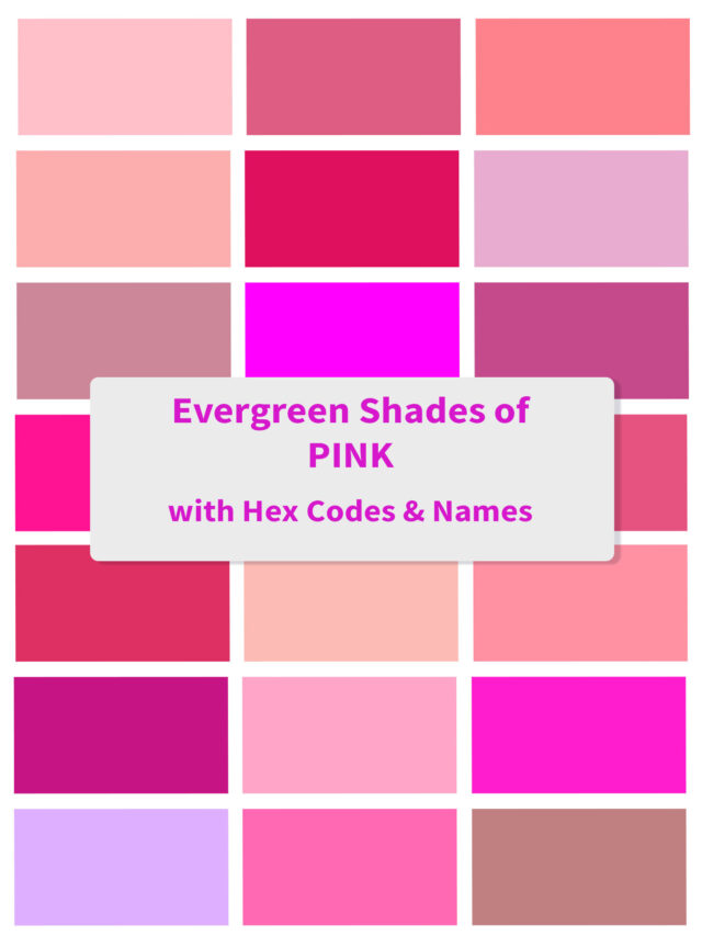 Evergreen Shades of Pink Colors