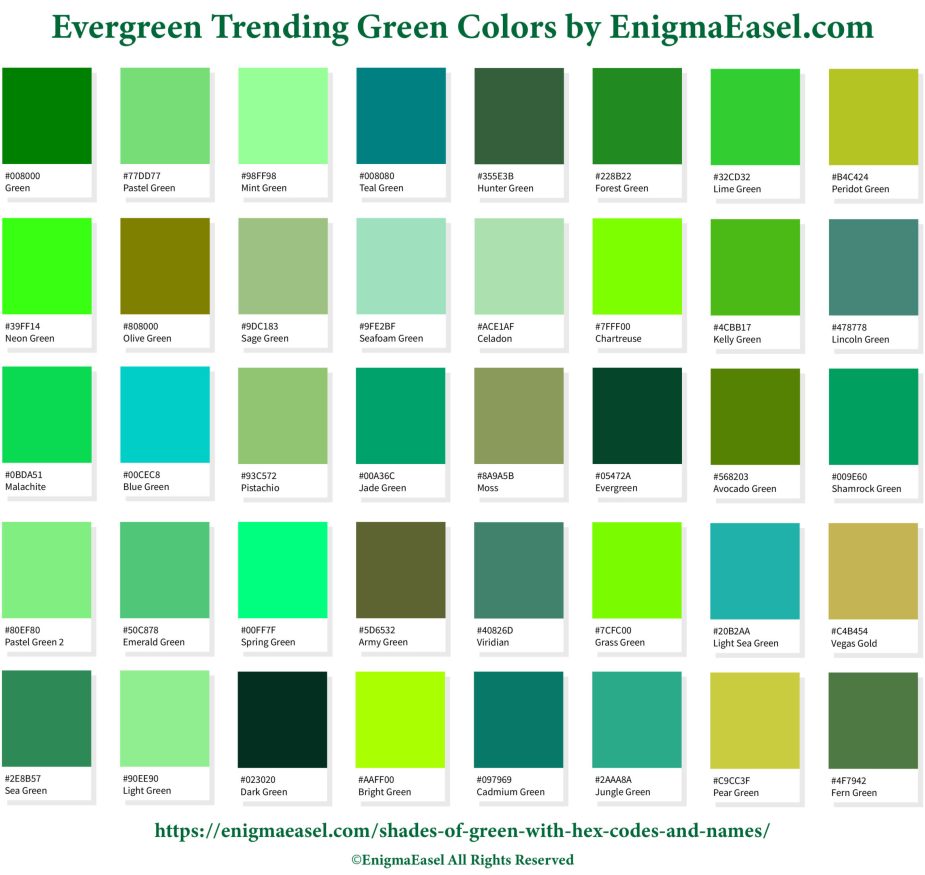 Evergreen Trending Green Colors with Hex Codes and Names